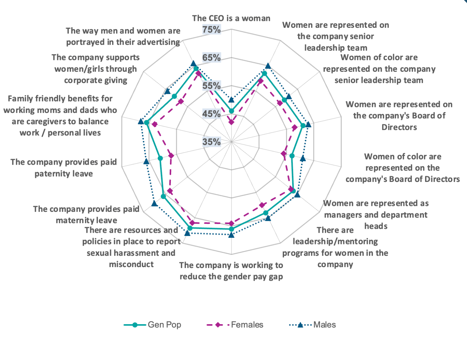 Spider chart: Importance of specific factors for diverse and inclusive companies